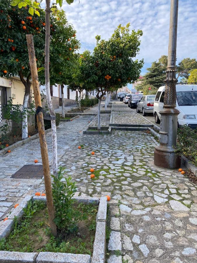 Sevilla. Gerena Casa Rural Para Familia O Profesionales Buitenkant foto
