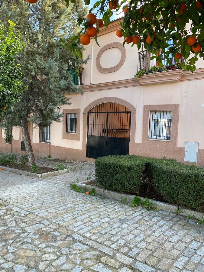 Sevilla. Gerena Casa Rural Para Familia O Profesionales Buitenkant foto