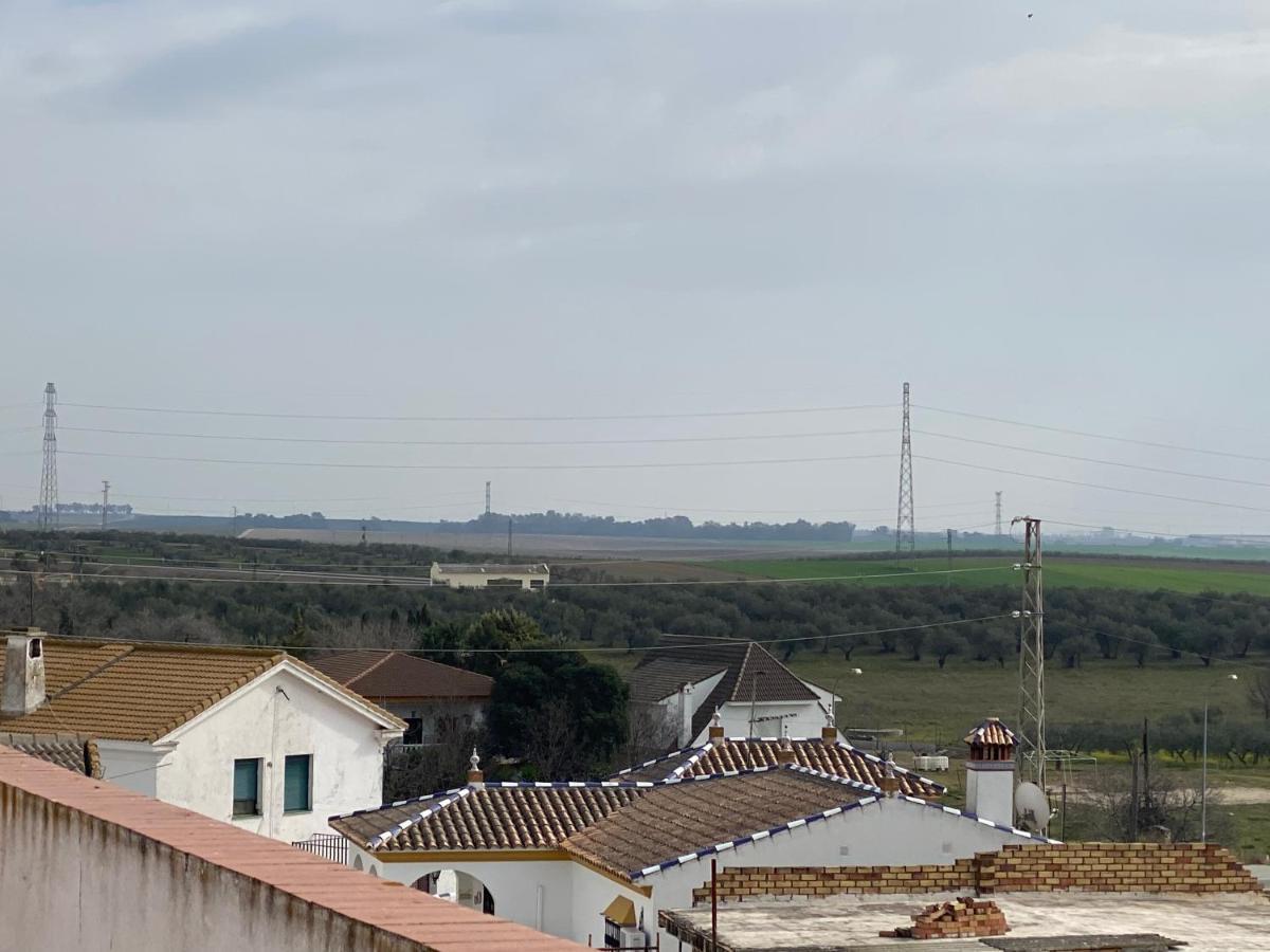 Sevilla. Gerena Casa Rural Para Familia O Profesionales Buitenkant foto
